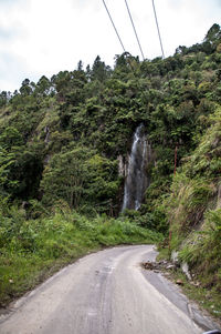 Road amidst trees against sky