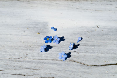 High angle view of people on wooden table