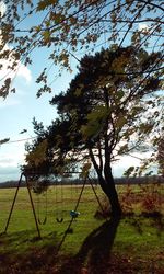 Trees against sky