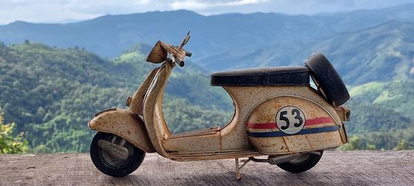 Horse cart on wood against mountains