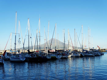 Sailboats in marina