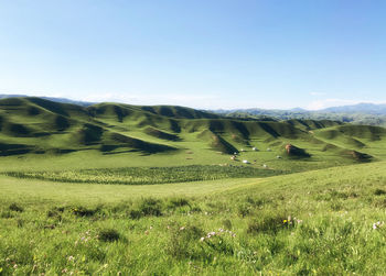 Scenic view of landscape against clear sky