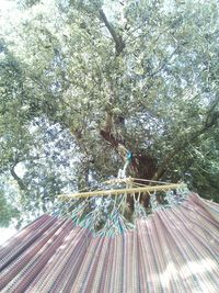 Low angle view of tree against sky