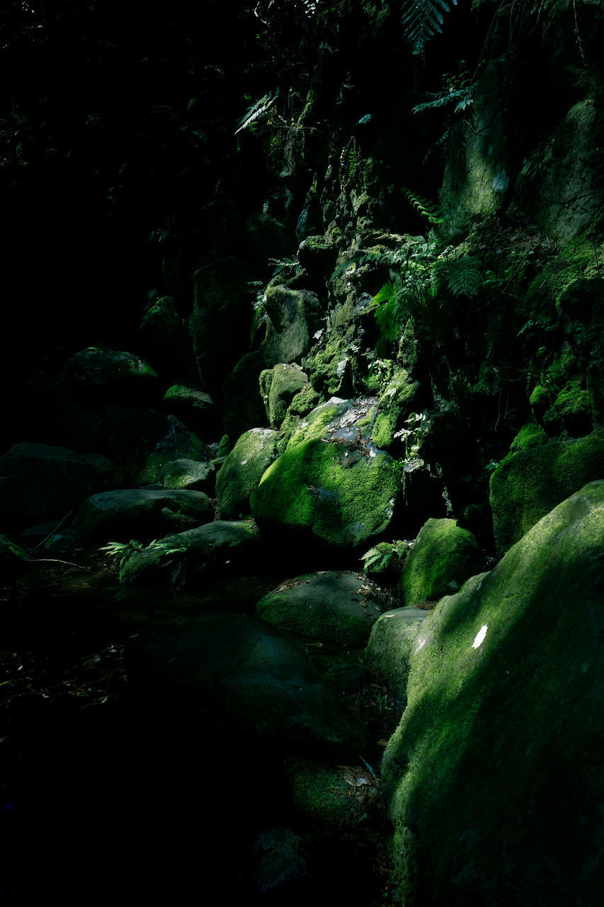 SCENIC VIEW OF WATERFALL ON ROCKS