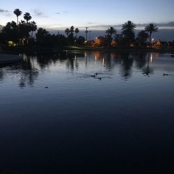 Reflection of silhouette trees on water