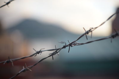 Close-up of barbed wire against sky