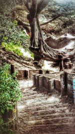 Built structure with trees in background