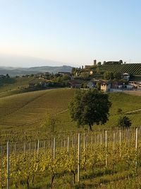 Scenic view of farm against clear sky