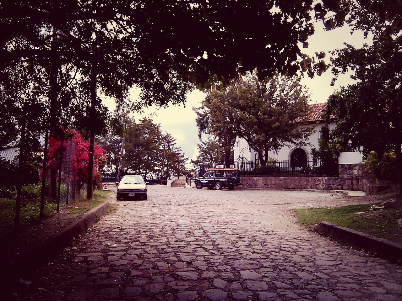 tree, the way forward, cobblestone, footpath, building exterior, street, built structure, architecture, walkway, growth, empty, paving stone, pathway, diminishing perspective, sidewalk, road, sunlight, park - man made space, street light, outdoors