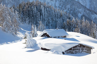 Picturesque winter scene with traditional alpine chalet and snowy forest