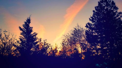Low angle view of silhouette trees against sky during sunset