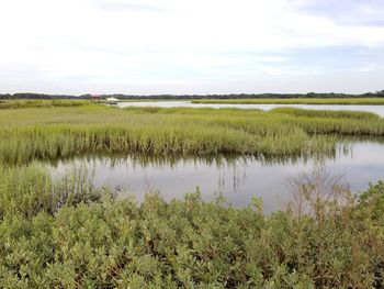 Scenic view of lake against sky