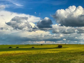 Scenic view of agricultural field against sky