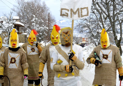 Group of people wearing costume on street during winter