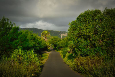 Road amidst trees against sky