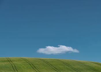 Scenic view of agricultural field against blue sky