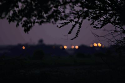 Silhouette trees on field against sky at sunset