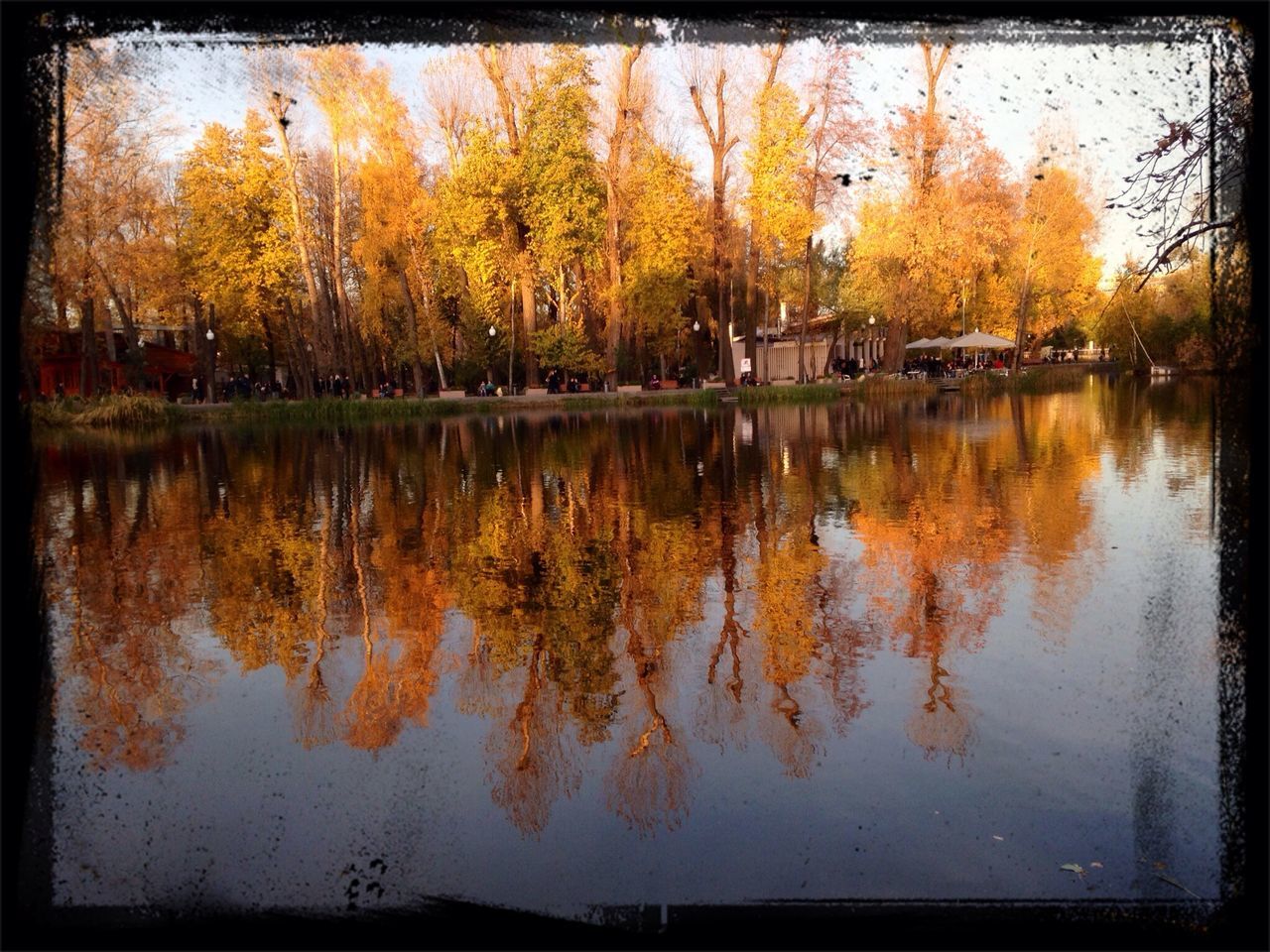 reflection, water, tree, autumn, lake, season, change, tranquility, waterfront, standing water, nature, tranquil scene, transfer print, beauty in nature, pond, auto post production filter, outdoors, day, scenics, built structure