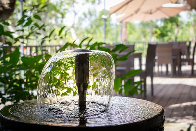 Close-up of glass container on table at yard