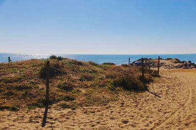 Scenic view of beach against clear sky