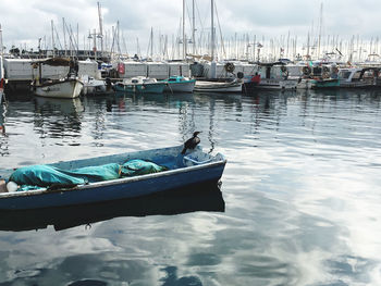 Boats moored at harbor with cormoran 