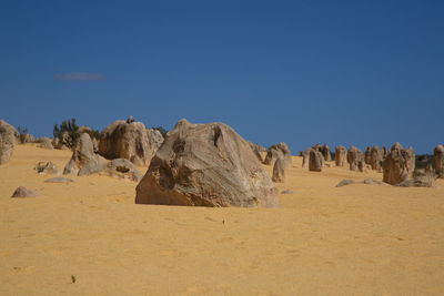 Pinnacles desert landscape of natural limestone rocks nambung national park, western australia.