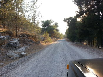 Road passing through trees