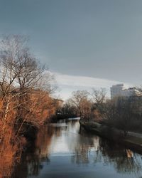 Reflection of trees in water