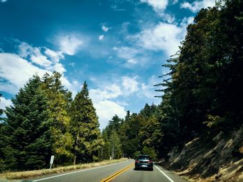 Cars on road by trees against sky