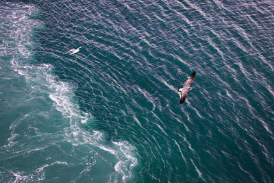 High angle view of people swimming in sea