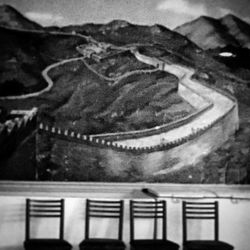 Close up of plant against blurred background