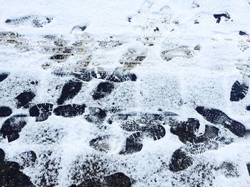 High angle view of footprint on pathway during winter
