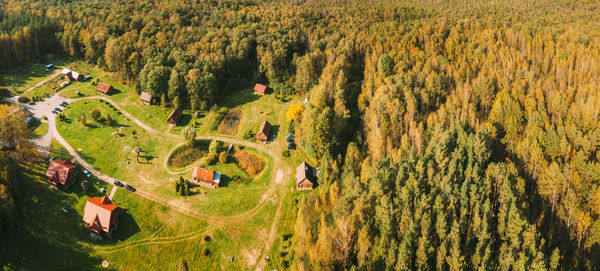 High angle view of trees on field