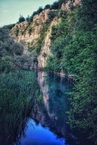Scenic view of river amidst trees in forest