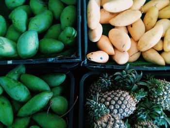 Directly above of fruits for sale at market stall