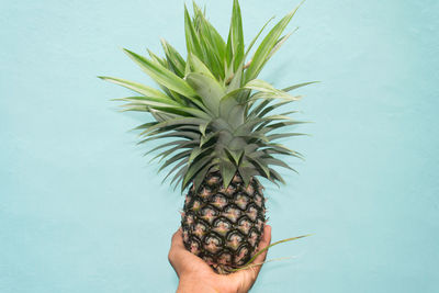 Close-up of hand holding fruit