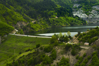 High angle view of river amidst trees
