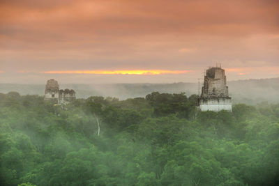 Historic buildings amidst trees against sky during sunset