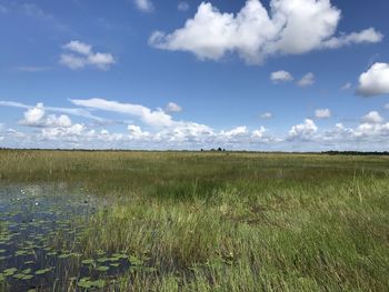 Scenic view of field against sky