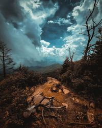 Scenic view of landscape against sky