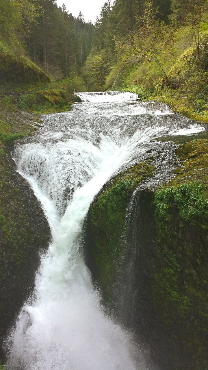 water, flowing water, motion, waterfall, flowing, beauty in nature, nature, forest, stream, long exposure, scenics, tree, river, tranquility, day, green color, tranquil scene, growth, outdoors, surf