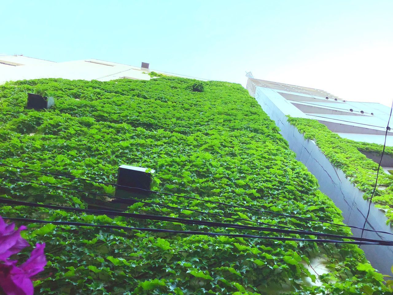 LOW ANGLE VIEW OF FARM AGAINST SKY