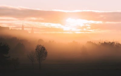 Trees on landscape against sky during sunset