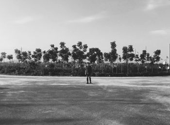 Scenic view of trees against sky