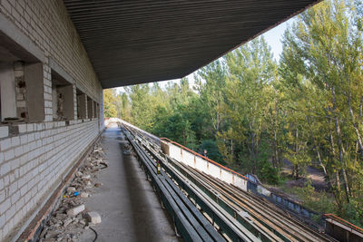 Railroad tracks amidst trees