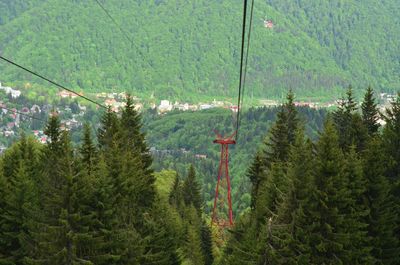 Scenic view of forest in a cable car localized in brasov, romania 