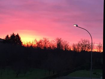 Trees against sky during sunset