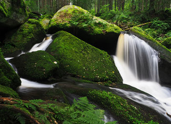 Waterfall of st.wolfgang on the river mala vltavice, sumava mountains, czech republic