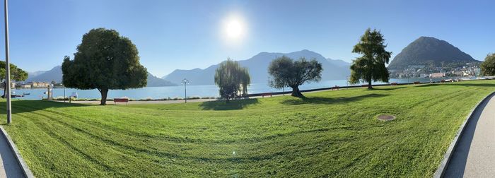 Panoramic shot of trees on field against sky