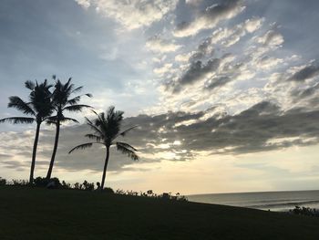 Silhouette palm trees on beach against sky